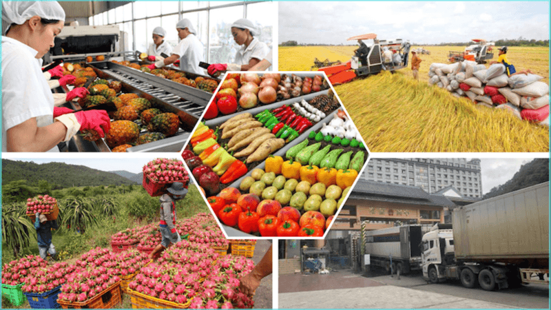 Quy trình đánh giá sản phẩm nông sản chế biến trước khi xuất khẩu sang Mỹ và EU
